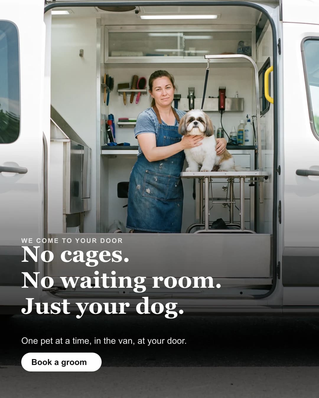 Sample Meta ad for mobile pet groomers — generated sample, not a client campaign